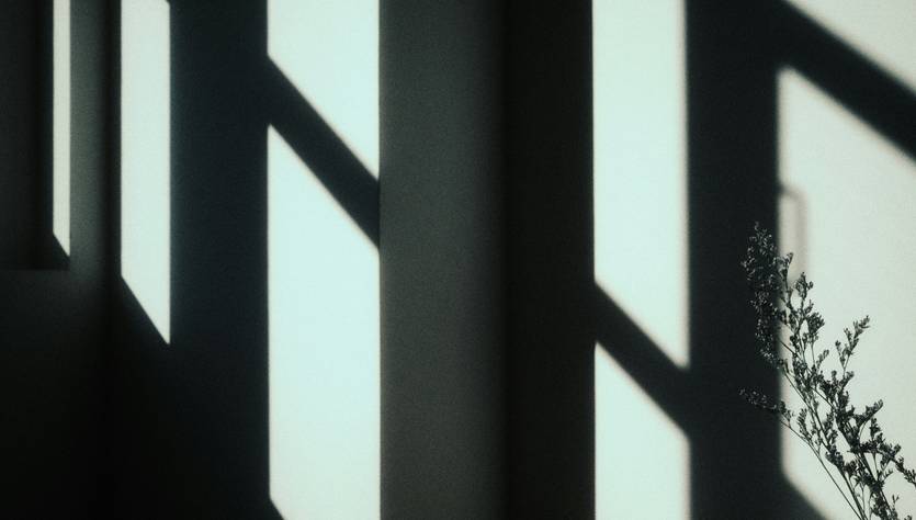 La imagen muestra sombras de un ventanal sobre una pared con una planta al borde.