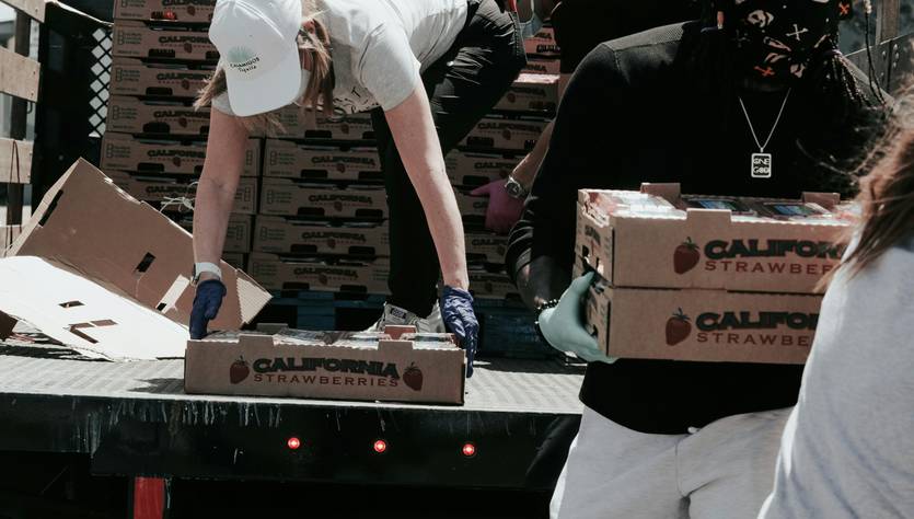 Un grupo de personas descargando cajas de fresas de un camión.