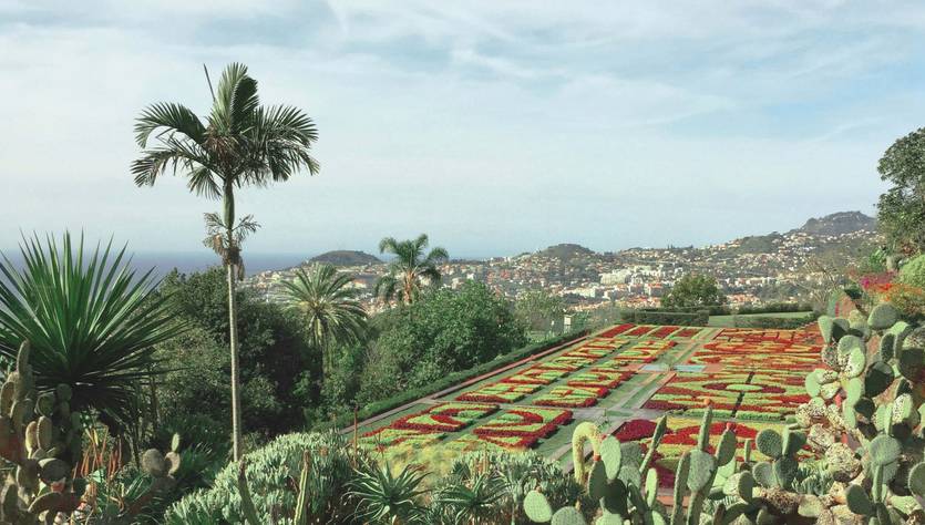 Vista panorámica de un jardín con cactáceas y flores ornamentales en un paisaje natural.