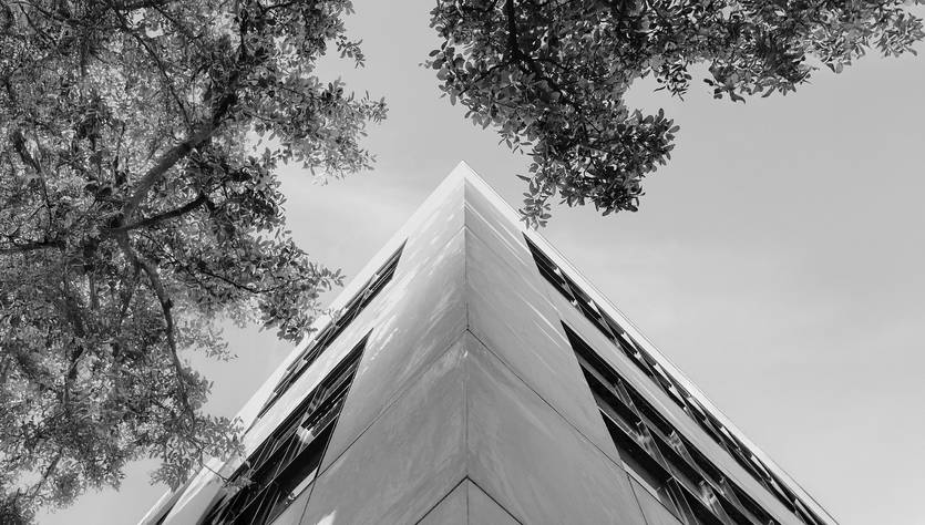 Un edificio moderno visto desde abajo, flanqueado por árboles.