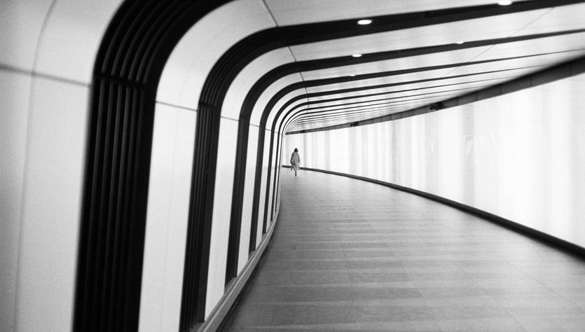 Un pasillo moderno y luminoso con curvas arquitectónicas marcadas.