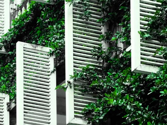 La imagen muestra una pared con lamas blancas y vegetación verde que crece alrededor de ellas.
