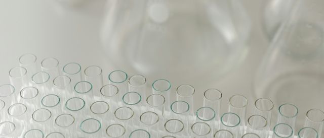 La imagen muestra un conjunto de tubos de ensayo y frascos de laboratorio dispuestos sobre una superficie clara.